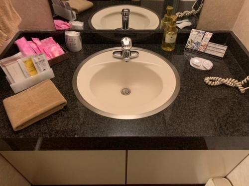 a bathroom counter with a sink in a bathroom at Hotel HANAMIZUKI-Adult Only in Otaru