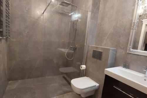 y baño con ducha, aseo y lavamanos. en Apartament Poziomkowa, en Przasnysz