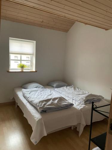 a bedroom with two beds and a window at Dejlig lejlighed in Svinninge