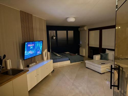 Malowesso Magic Apartment في فواديسوافوفو: غرفة نوم بها سرير وتلفزيون في الغرفة