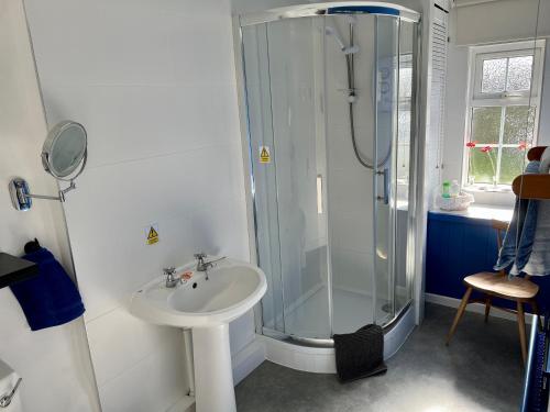 La salle de bains est pourvue d'une douche et d'un lavabo. dans l'établissement Tornaroan Cottage, à Ballycastle