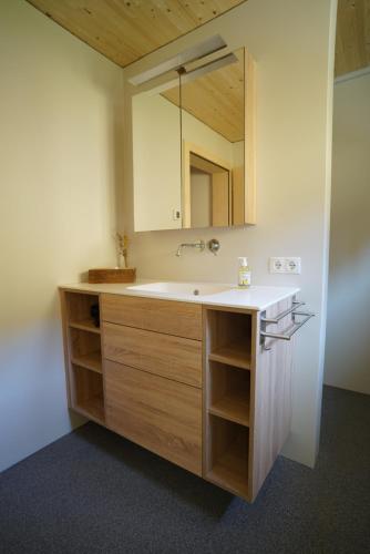 a bathroom with a sink and a mirror at Hirschberghütte in Bizau