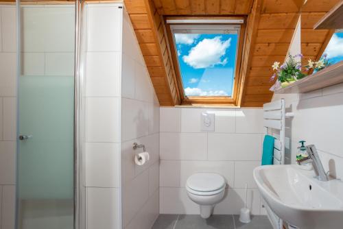 a bathroom with a toilet and a sink and a window at Pension Am Weinberg Sächsische Schweiz in Mittelndorf