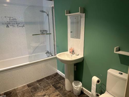a bathroom with a sink and a shower and a toilet at 3 Dialknowe Holiday Cottage - Wanlockhead in Wanlockhead