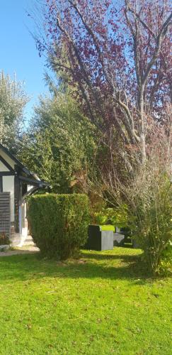 a yard with trees and bushes and a house at La petite maison in Le Bosc-Roger-en-Roumois