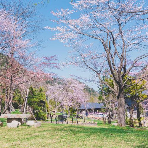 a park with a picnic table and trees with pink flowers at Okujozankei Onsen Kasho Gyoen in Jozankei