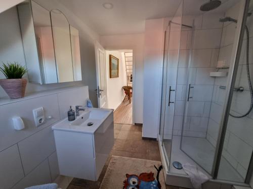 W łazience znajduje się umywalka i prysznic. w obiekcie Grundmühle - Kleines Ferienappartement auf dem Ponyhof 