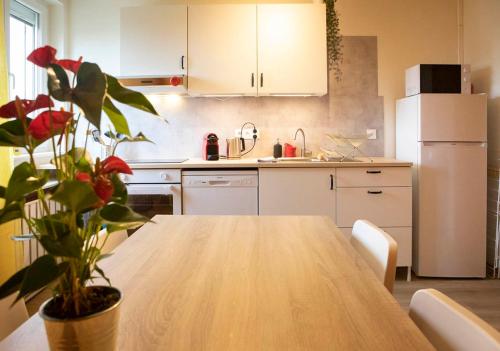 une cuisine avec une table en bois et une plante en pot dans l'établissement Green Appart Europa Lodge standing et familial près Europa-Park, à Daubensand