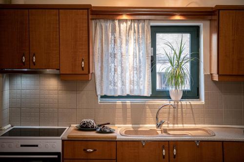 una cucina con lavandino e una finestra con una pianta di Villa Anastasia a Sívas