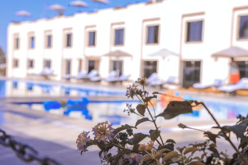 a view of a swimming pool with a building and flowers at Haile Resort-Gondar in Gonder