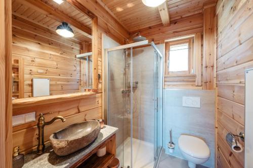 a bathroom with a shower and a sink and a toilet at Almhütten Skorianz - Die Rote Hirschhütte in Klippitztorl