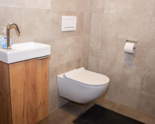 La salle de bains est pourvue de toilettes blanches et d'un lavabo. dans l'établissement Landhaus Juleiko, à Nassereith