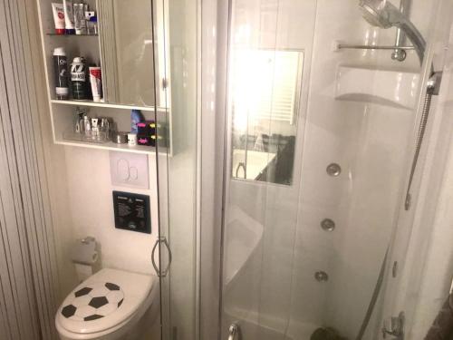een kleine badkamer met een douche en een toilet bij historic authentic atmosphere - high-end luxury décor in Le Cannet