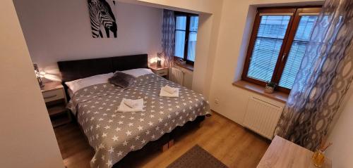 a small bedroom with a bed and a window at Apartmany U Lva in Prachatice