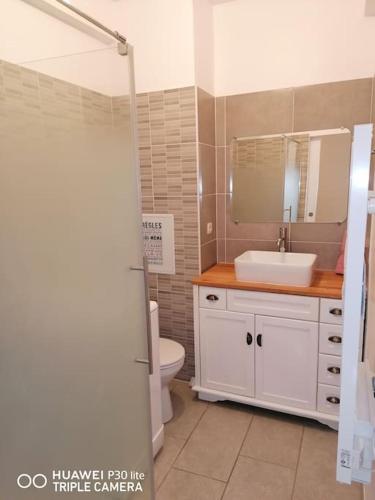 Koupelna v ubytování Charmant T2 en plein cœur de Bourg en Bresse