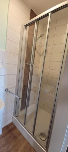 a shower stall with a glass door in a bathroom at Pension am Stern in Leipzig