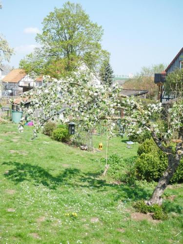 Tiny Ferienhaus Kelzeにある庭