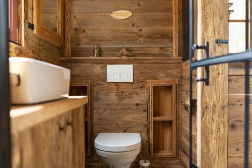 a bathroom with a toilet and a sink at Tiny Chalet 2 in Clausthal-Zellerfeld