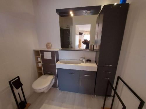 une salle de bain avec toilettes, lavabo et miroir dans l'établissement Studio cosy à 80m de la plage avec jardin et jeux pour enfants - FR-1-423-238, au Grau-dʼAgde