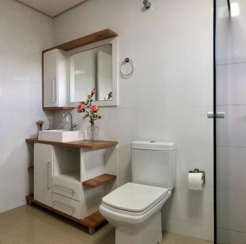 een badkamer met een toilet, een wastafel en een spiegel bij APT MODERNO À 60 METROS DO TERMAS in Piratuba