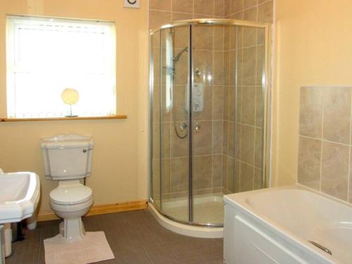 a bathroom with a shower and a toilet and a sink at Fermanagh Holiday Home in Newtown Butler