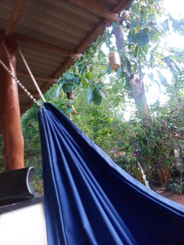 a blue hammock in front of a tree at Southbank Homestay 