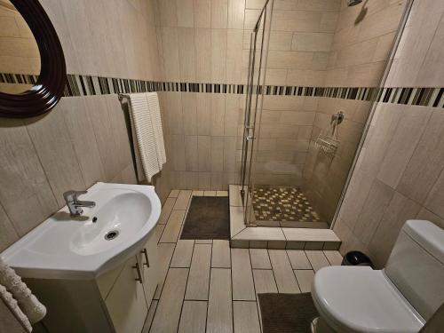 a bathroom with a shower and a sink and a toilet at Aloetree Mint room in Krugersdorp