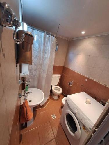 une petite salle de bains avec toilettes et lave-linge. dans l'établissement Ana y Pali, à Ushuaia