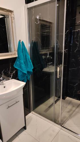 a bathroom with a glass shower with a sink at Apartament u Danusi in Złoty Stok