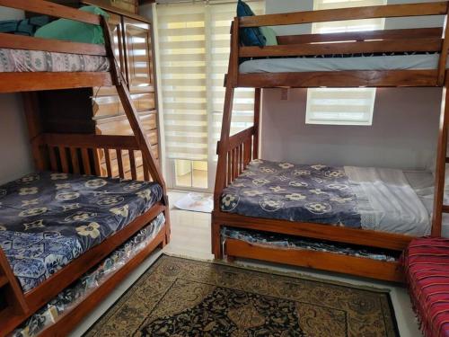 a bedroom with two bunk beds and a rug at Mines View - nice studio good for 2-8 persons! in Baguio