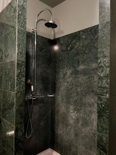 a bathroom with a shower with a shower head at Hôtel Restaurant Chez Gervais in Quingey