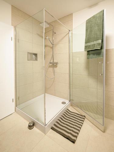 a shower stall with a glass door in a bathroom at Ferienwohnung Walsetal in Wahlhausen