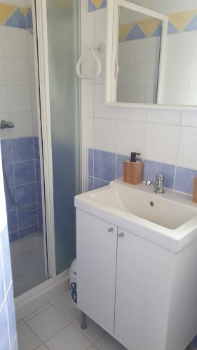 尼永斯的住宿－Chez Pascaline，浴室配有白色水槽和淋浴。