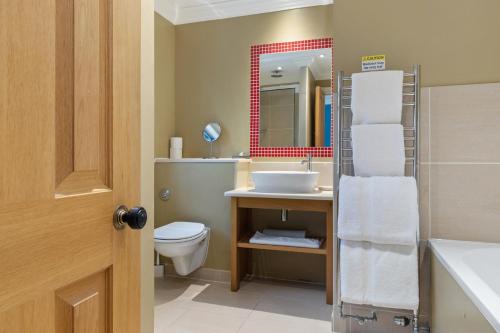 a bathroom with a toilet and a sink and a mirror at Slebech Park Estate in Wiston
