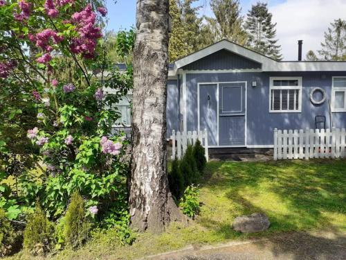 a blue house with a white fence and a tree at Knus buitenhuisje aan de Veluwe in Putten