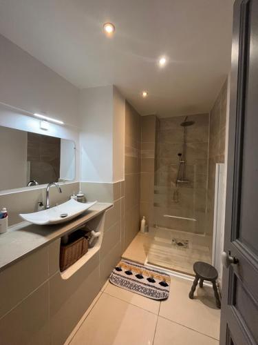 Un baño con ducha, lavabo y bañera. en Les Chambres du Palais, en Carcassonne