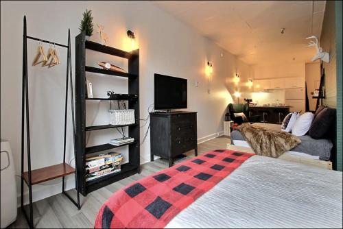 魁北克市的住宿－INITIAL - LOFT FORESTIER - Centre-Ville de Québec，一间卧室配有一张床和一台电视