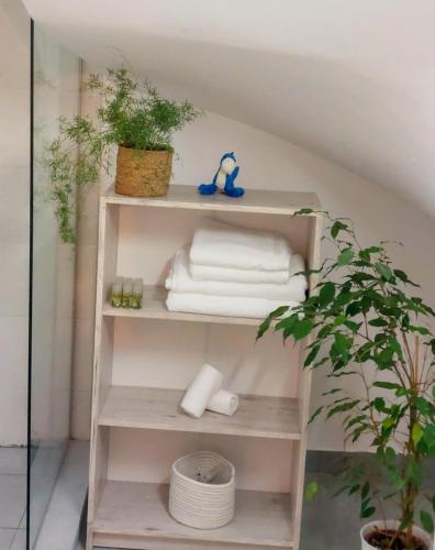 a shelf with towels and a potted plant on it at InTown in Constanţa