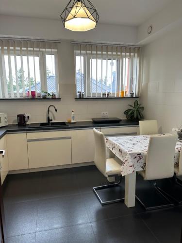 a kitchen with a table and chairs and a sink at Villa Speranza Kościelna Droga 12 in Łomianki Dolne