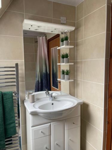 a bathroom with a sink and a mirror at Caledonia Lodge in Spean Bridge