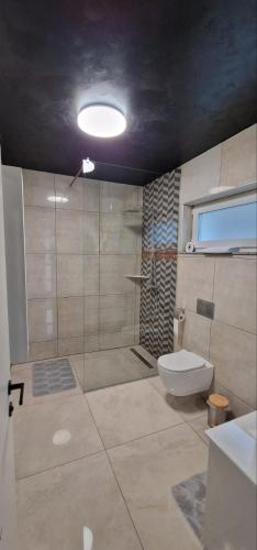 a bathroom with a shower and a toilet and a window at Resort TimAJA - pool, massage pool, sauna in Trebnje