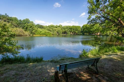 a park bench sitting in front of a lake at Camping L'Etang D'Ardy *** in Saint-Paul-lès-Dax