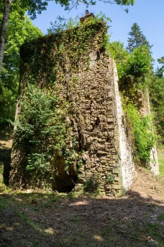 an old stone wall with plants growing on it at Camping L'Etang D'Ardy *** in Saint-Paul-lès-Dax