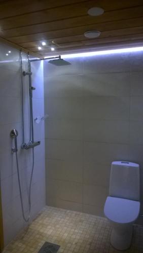 Eric Apartment في Vampula: حمام مزود بدُش ومرحاض ودُش