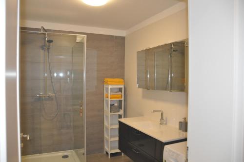 a bathroom with a shower and a sink at Panorama Garten-Apartment in Marburg in Marburg an der Lahn