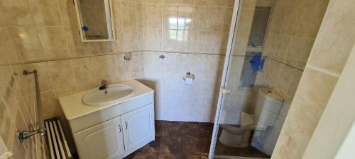 La petite salle de bains est pourvue d'un lavabo et d'une douche. dans l'établissement Pearly Shells, à Scottburgh