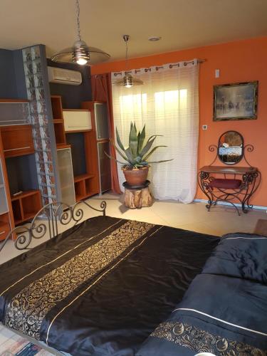 een slaapkamer met een bed en een potplant bij Apartament Loft in Radom
