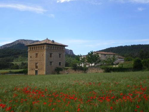 un campo de flores rojas delante de un edificio en Masia Del Aragones en Peñarroya de Tastavins