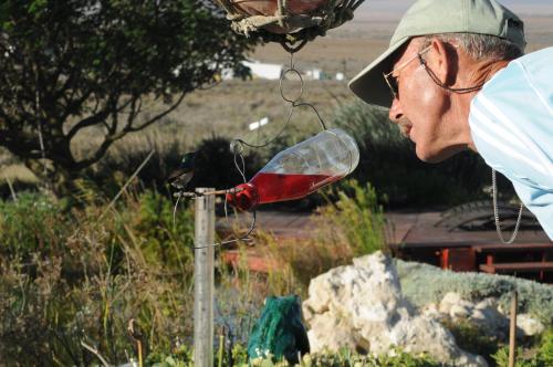 a man drinking out of a wine glass at Farr Out Guest House in Paternoster