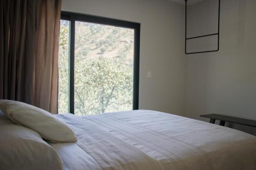 sypialnia z łóżkiem i dużym oknem w obiekcie Casa Blumenhaus - Casa de Campo con Jacuzzi en Zapopan w mieście Zapopan